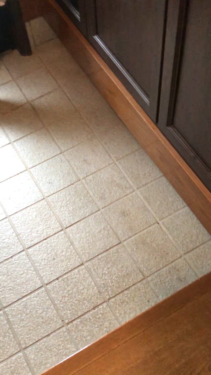 全体のレビュー動画のサムネイル | 8