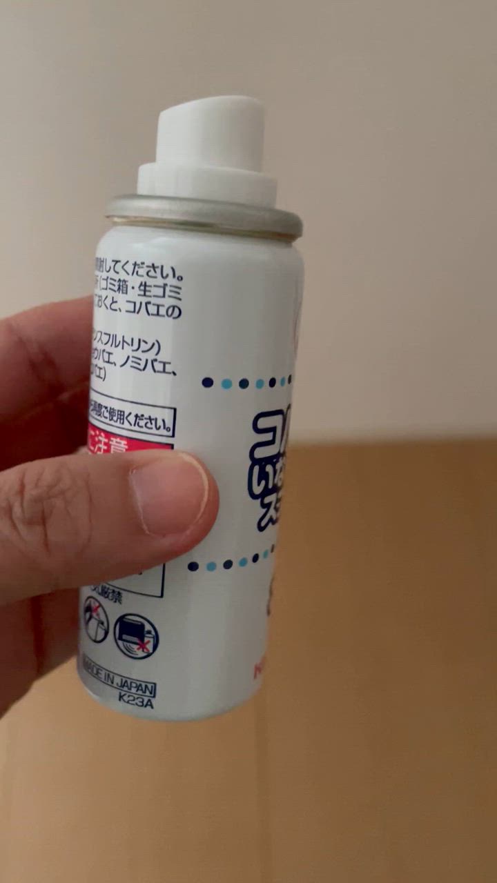 キンチョー 大日本除虫菊 KINCHO コバエがいなくなるスプレー 80 キンチョー 大日本除虫菊 KINCHO コバエがいなくなるスプレー 80