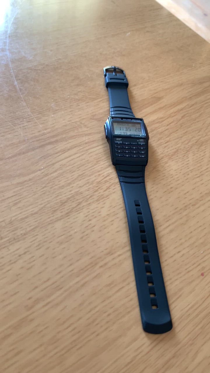 DATABANK 並行輸入品 10年保証 日本未発売 CASIO DATA BANK