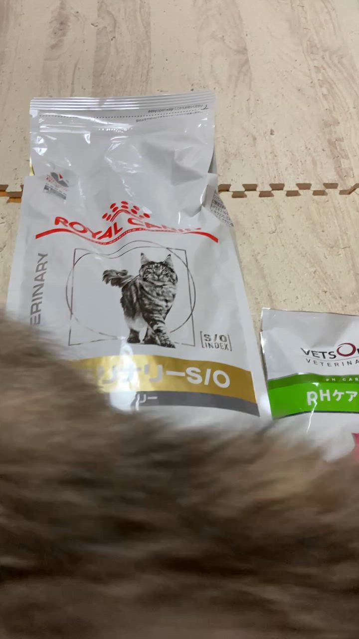 全体のレビュー動画のサムネイル | 1