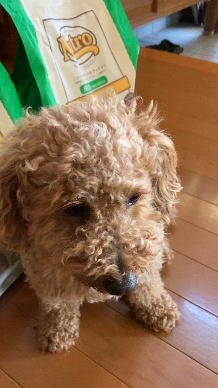 全体のレビュー動画のサムネイル | 4