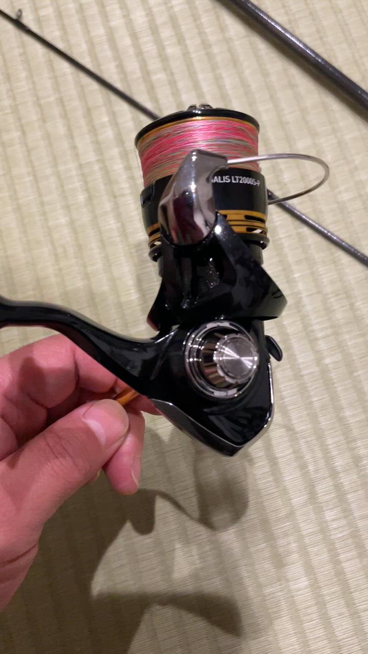 DAIWA（釣り） ダイワ スピニングリール 23レガリス LT2000S-P