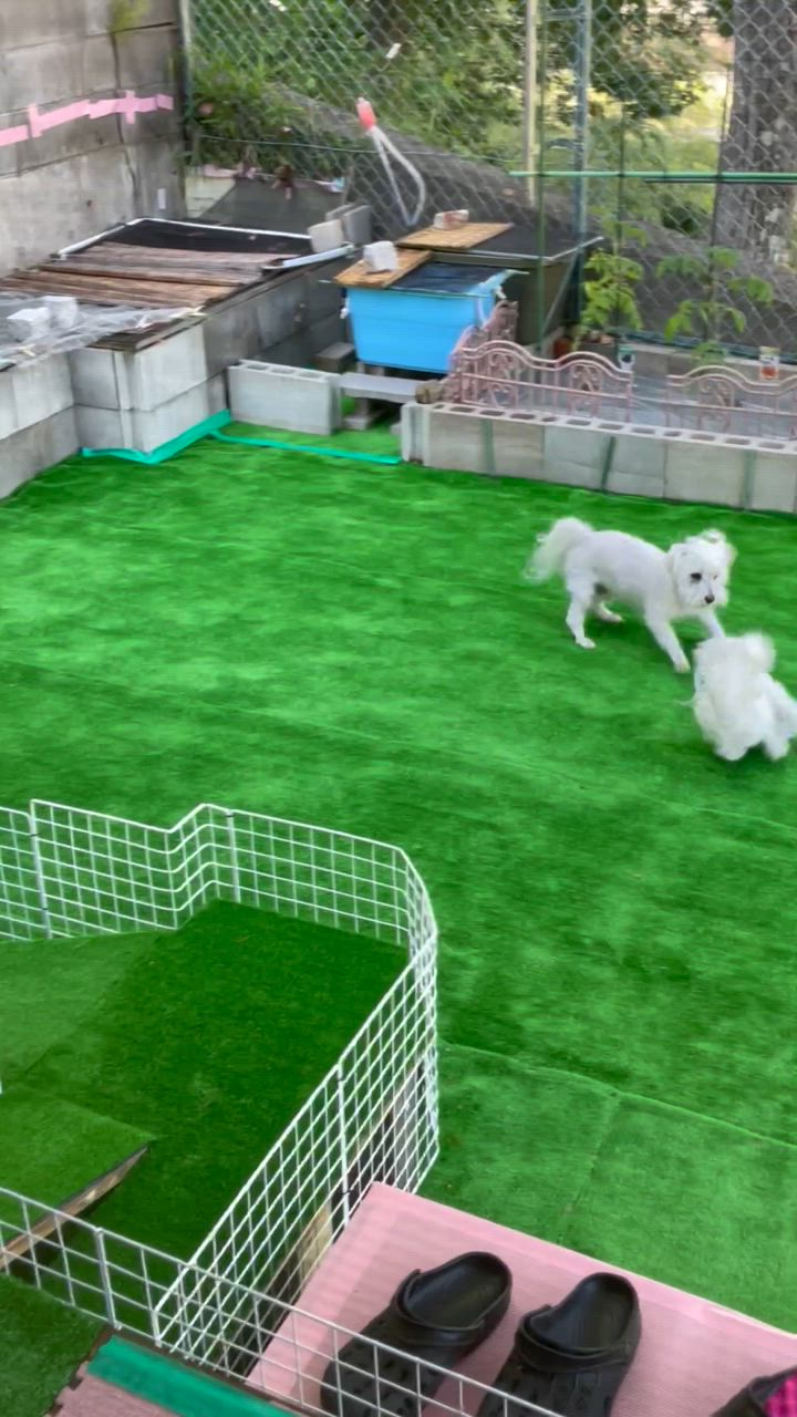 全体のレビュー動画のサムネイル | 0