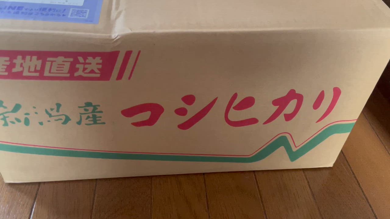 コシヒカリ　20キロ　当日発送可能⭕️ コシヒカリ 20kg」の人気商品一覧 | 安い商品を通販サイトから