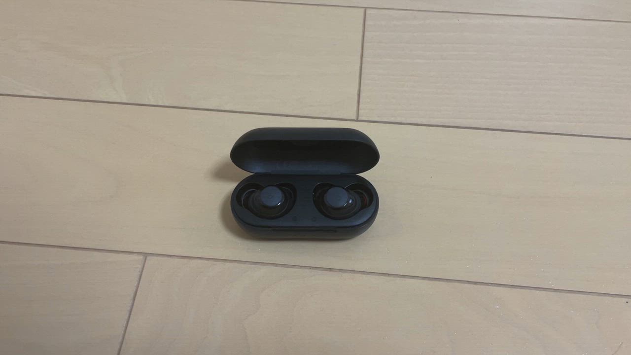 全体のレビュー動画のサムネイル | 1