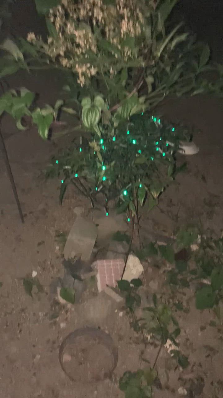 全体のレビュー動画のサムネイル | 16