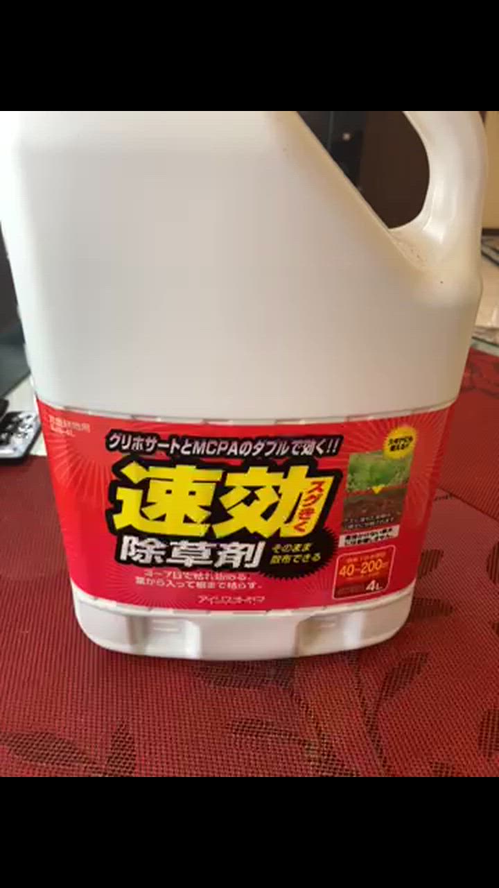 全体のレビュー動画のサムネイル | 1