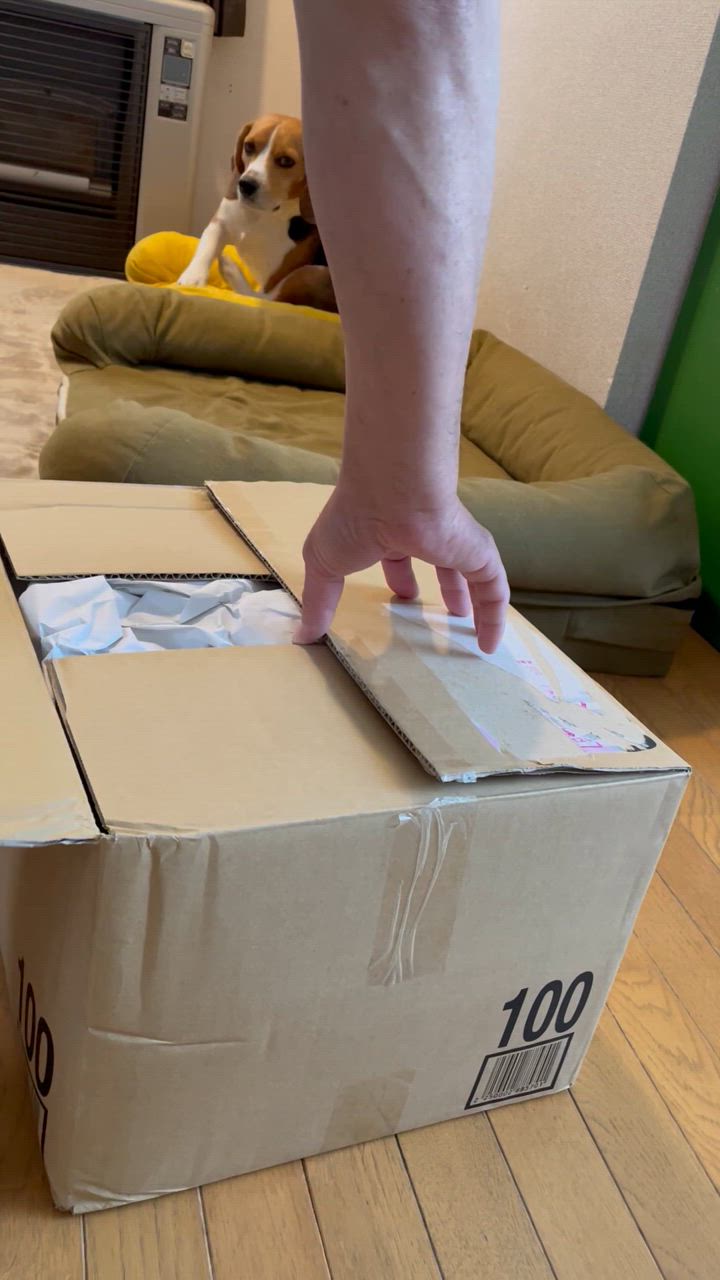 全体のレビュー動画のサムネイル | 3