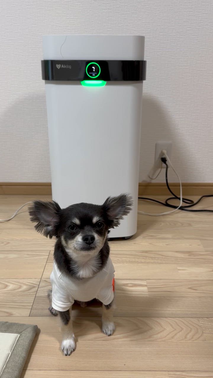 全体のレビュー動画のサムネイル | 11