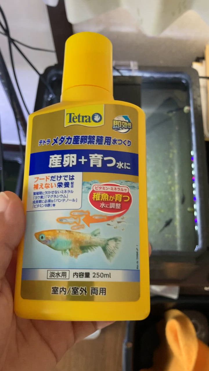 大和メダカ○トータルビタミンコンディショナー○２５０ml　３０００Ｌ分　メダカに ◎大和メダカ◎ ○トータルビタミンコンディショナー○ 250ml
