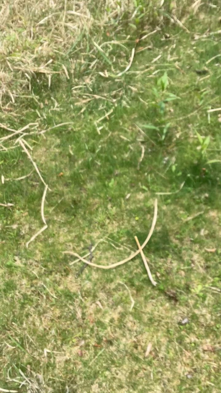 1件目のレビュー動画のサムネイル | 0