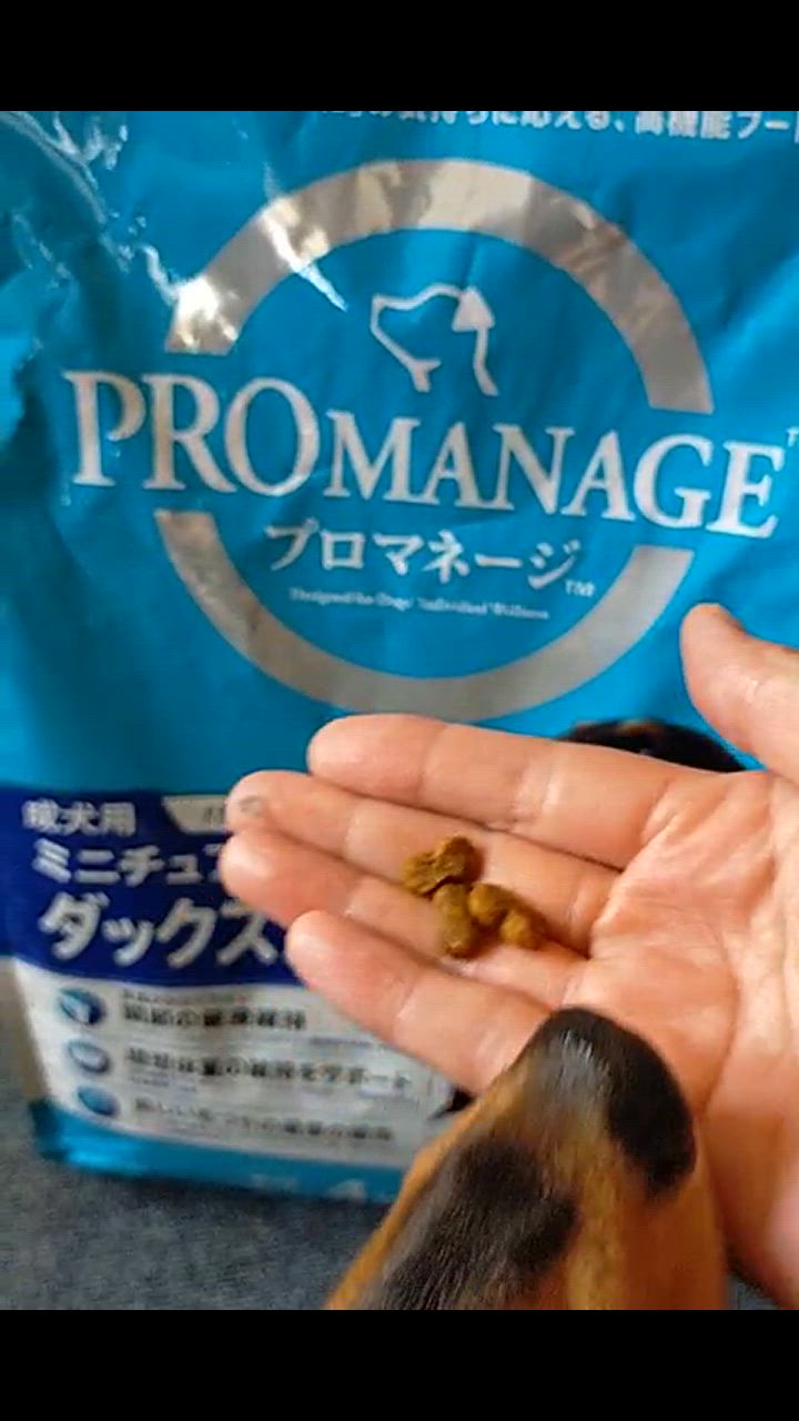 1件目のレビュー動画のサムネイル | 0