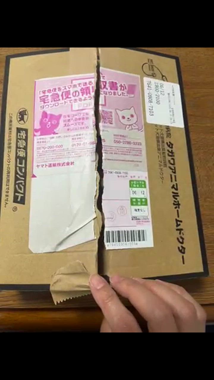 1件目のレビュー動画のサムネイル | 0