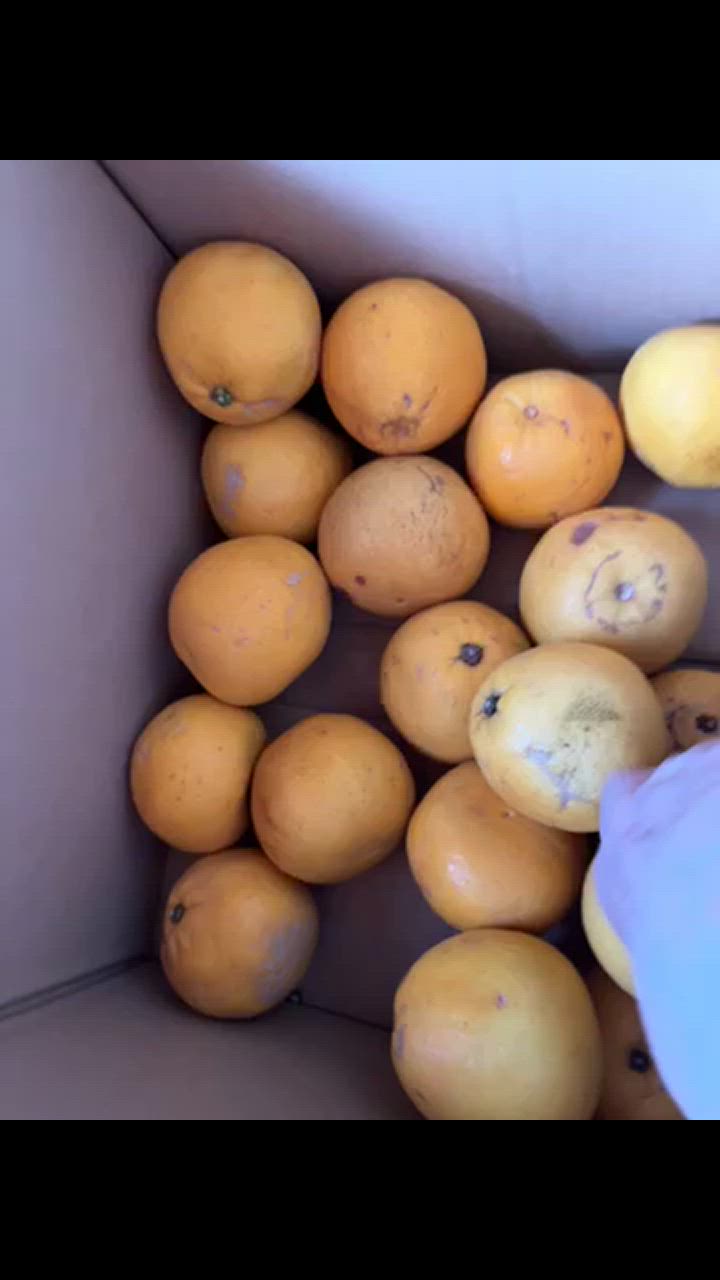 全体のレビュー動画のサムネイル | 17