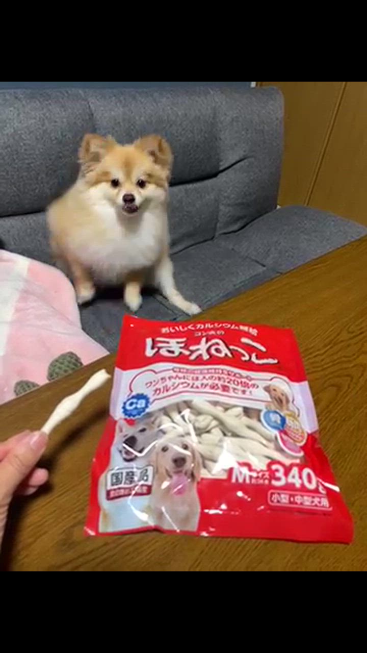 マルカン サンライズ ゴン太のほねっこ Mサイズ 小型・中型犬用
