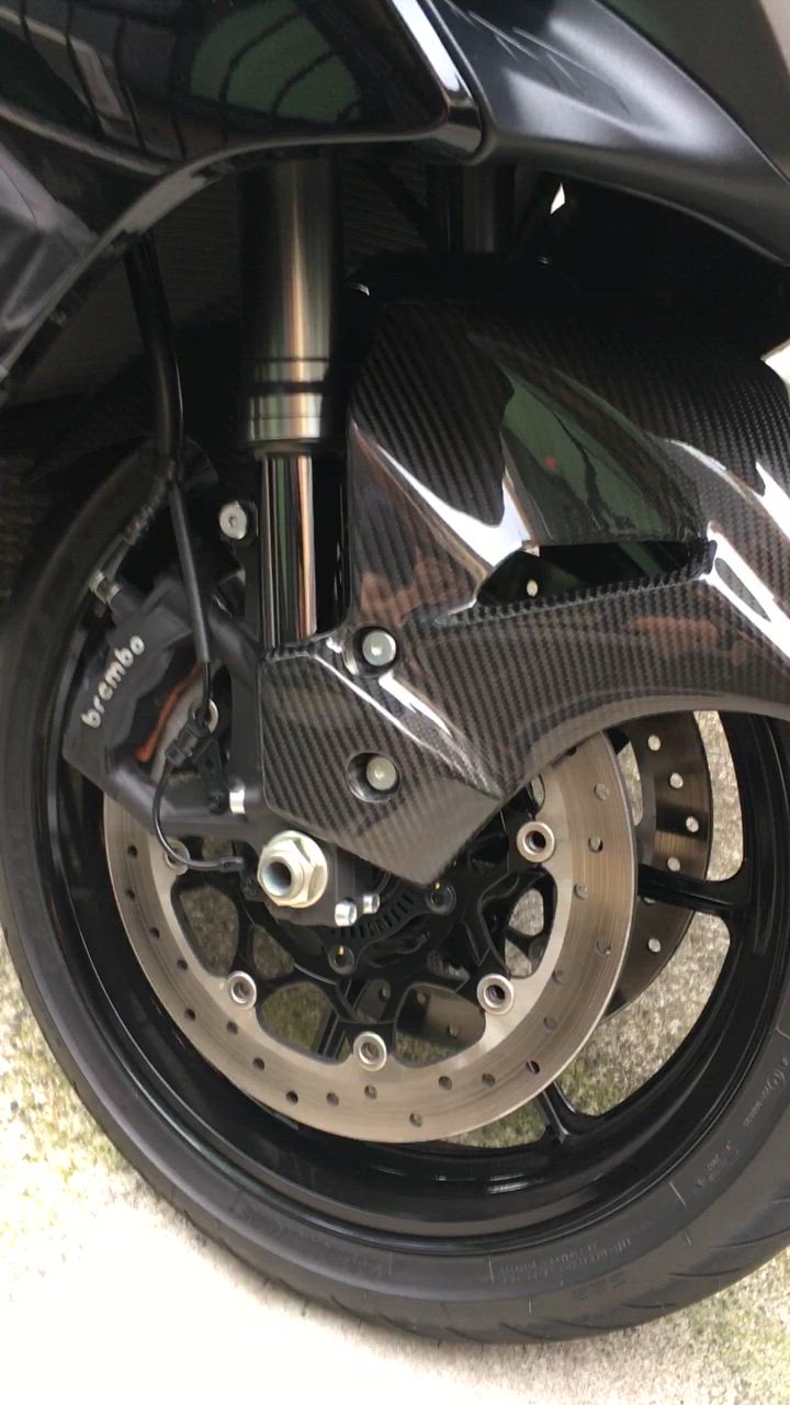 TEASER FFS05G FRONT FENDER 【DRY CARBON HG】 SUZUKI GSX1300R HAYABUSA (21-)  ティーザー カーボン フロント フェンダー : ffs05g : RAMBUTAN - 通販 - Yahoo!ショッピング