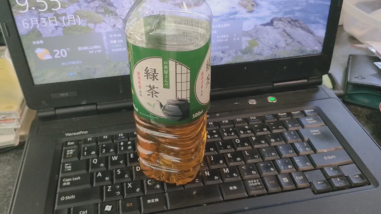 全体のレビュー動画のサムネイル | 19