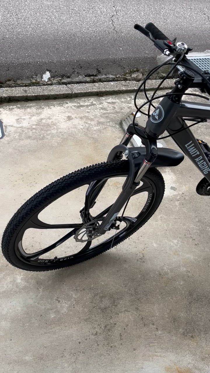 自転車 バイク マウンテンバイク 太いタイヤ 21 24 27 30段変速
