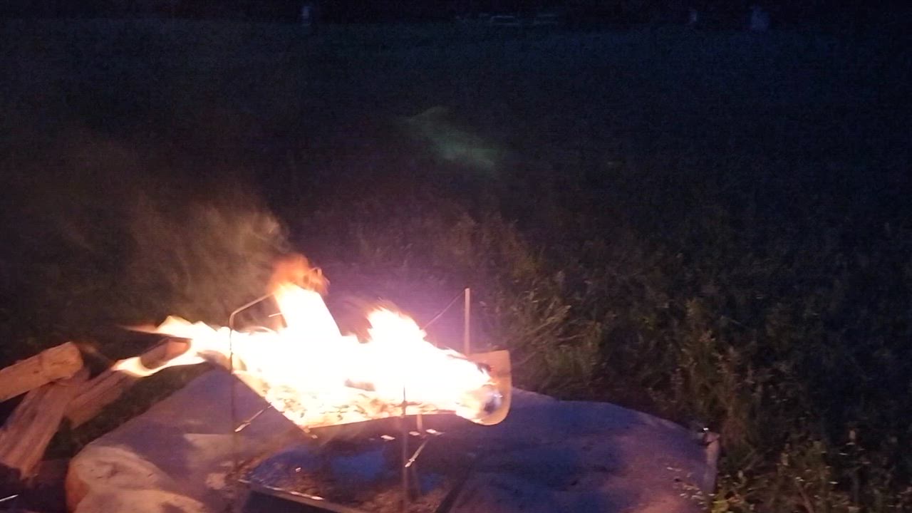 全体のレビュー動画のサムネイル | 9