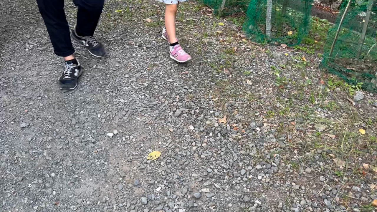 全体のレビュー動画のサムネイル | 10
