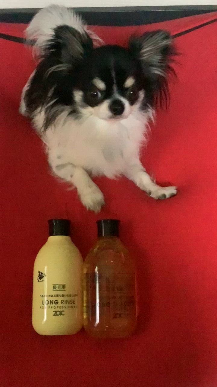 ゾイック ホワイトニング 全毛色用 シャンプー&リンスセット 犬