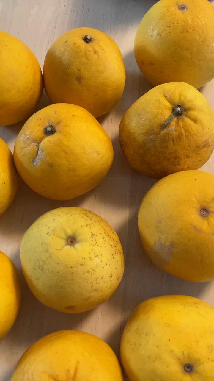 全体のレビュー動画のサムネイル | 16