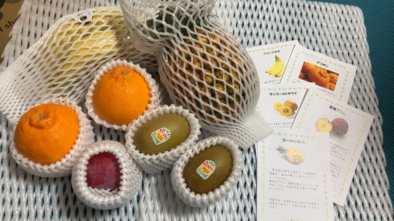 全体のレビュー動画のサムネイル | 3