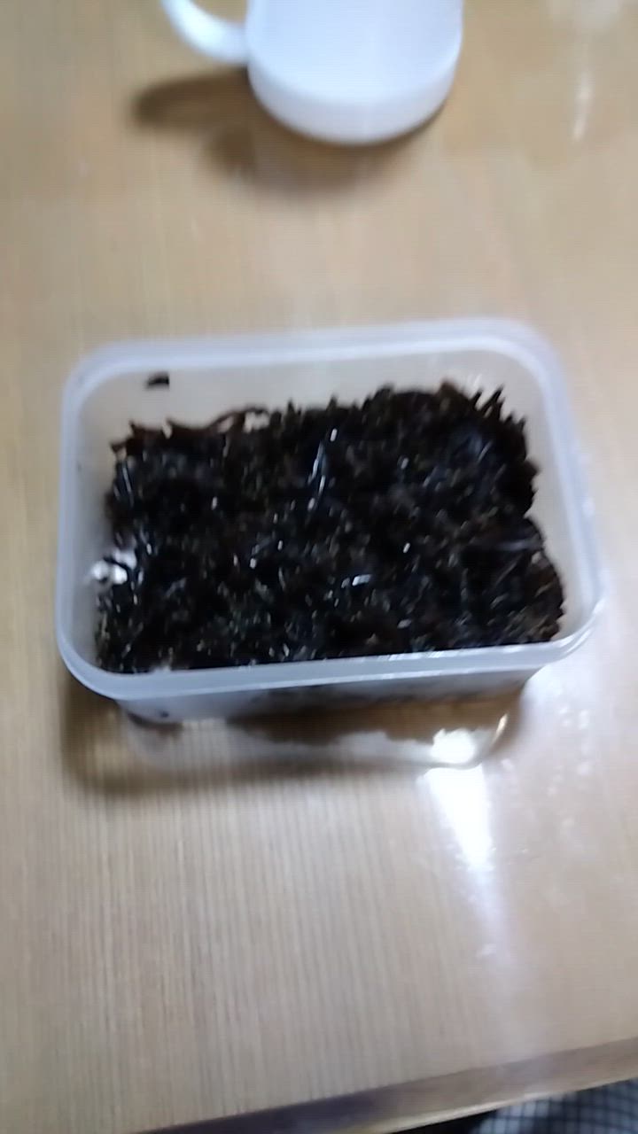 全体のレビュー動画のサムネイル | 7