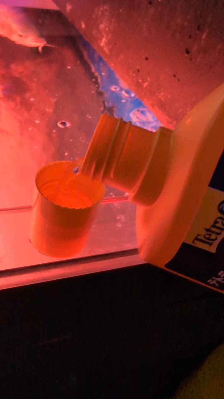 全体のレビュー動画のサムネイル | 0