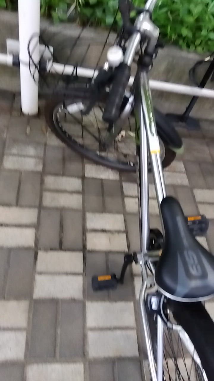 あさひ（自転車） 「あさひ」ドライド S3 246 BAA-O 24インチ