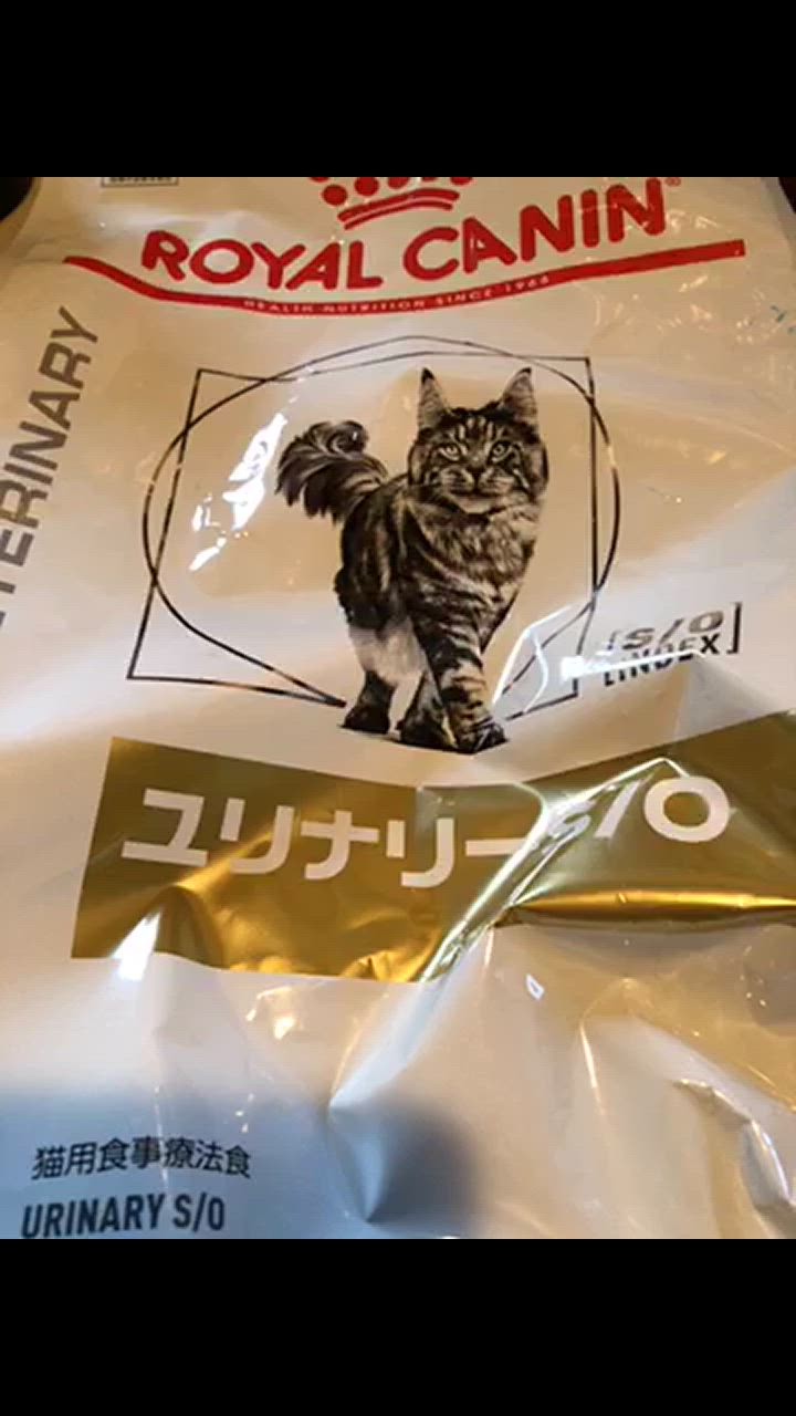 ロイヤルカナン 療法食 猫用 ユリナリーS/O ドライ 4ｋg : 10000041-3 : ペットみらいヤフー店 - 通販 -  Yahoo!ショッピング