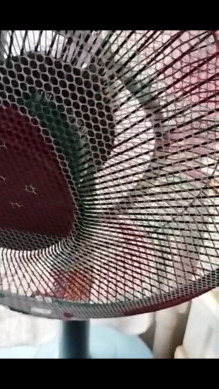 全体のレビュー動画のサムネイル | 3