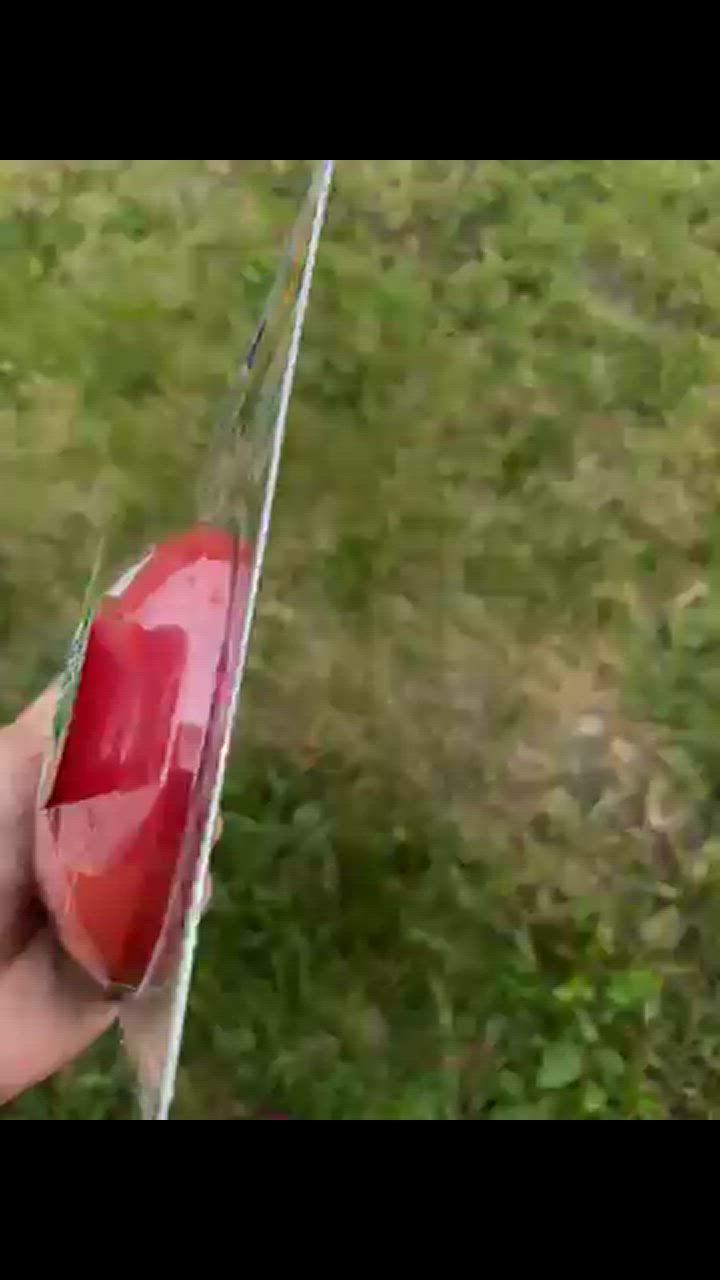全体のレビュー動画のサムネイル | 1