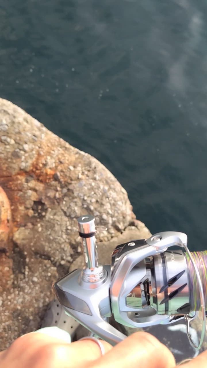 リールスタンド シマノ shimano ダイワ daiwa スピニングリール リールスタンド シマノ shimano ダイワ daiwa スピニングリール