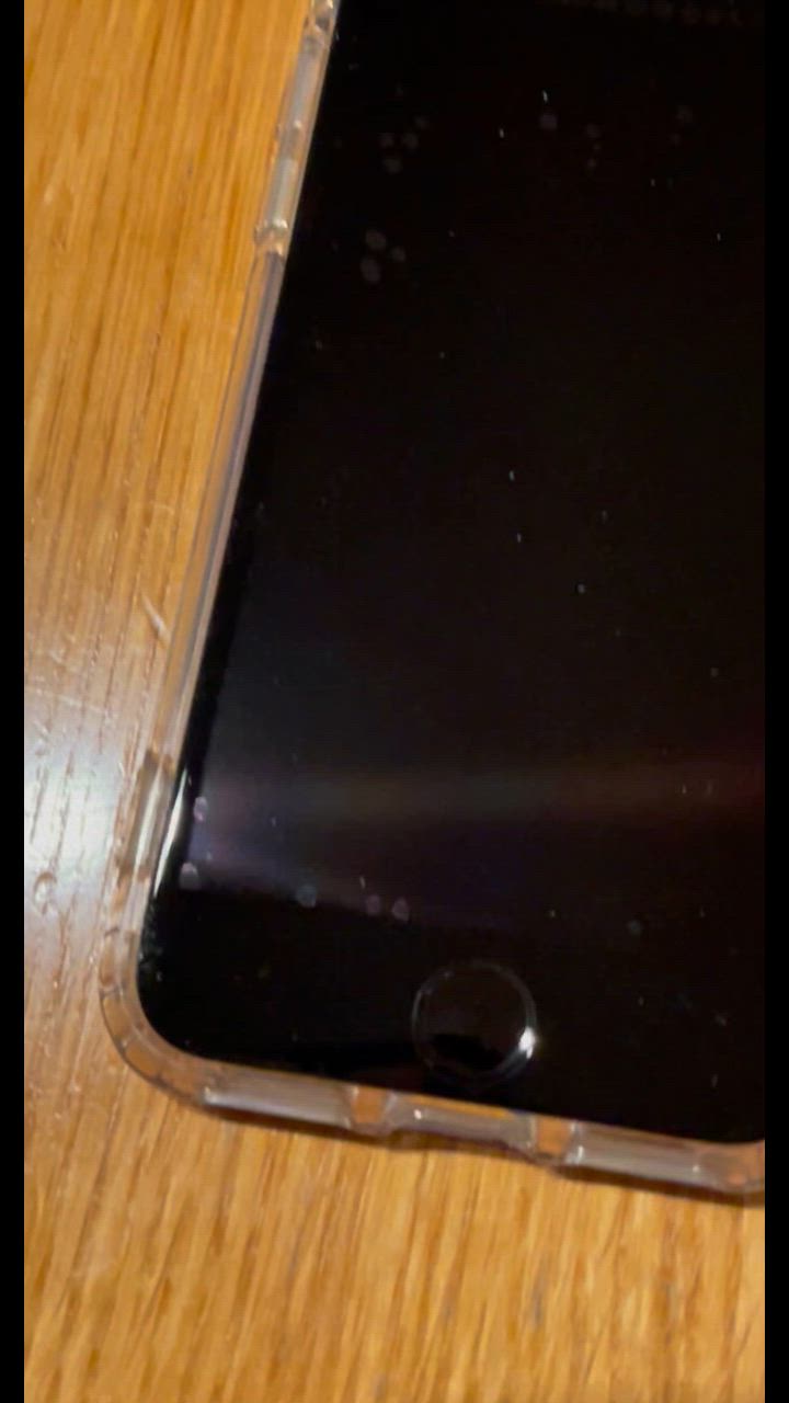 全体のレビュー動画のサムネイル | 0