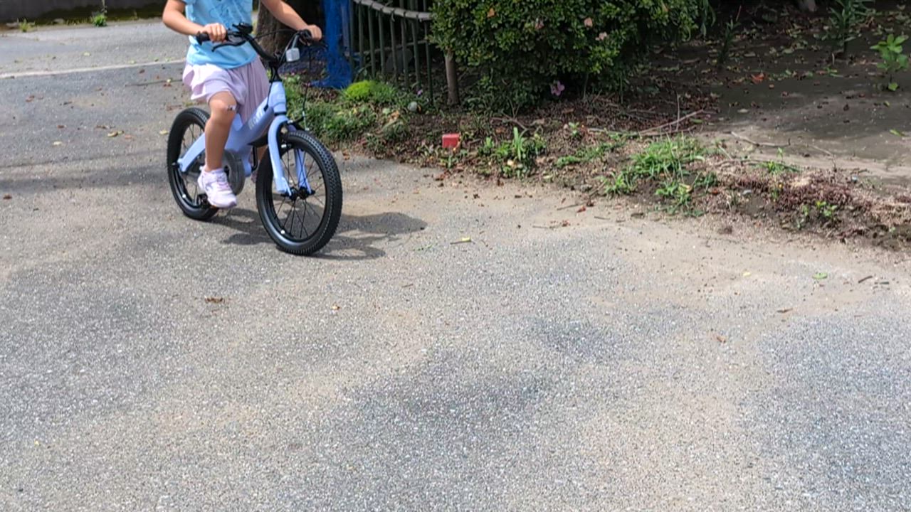 全体のレビュー動画のサムネイル | 4