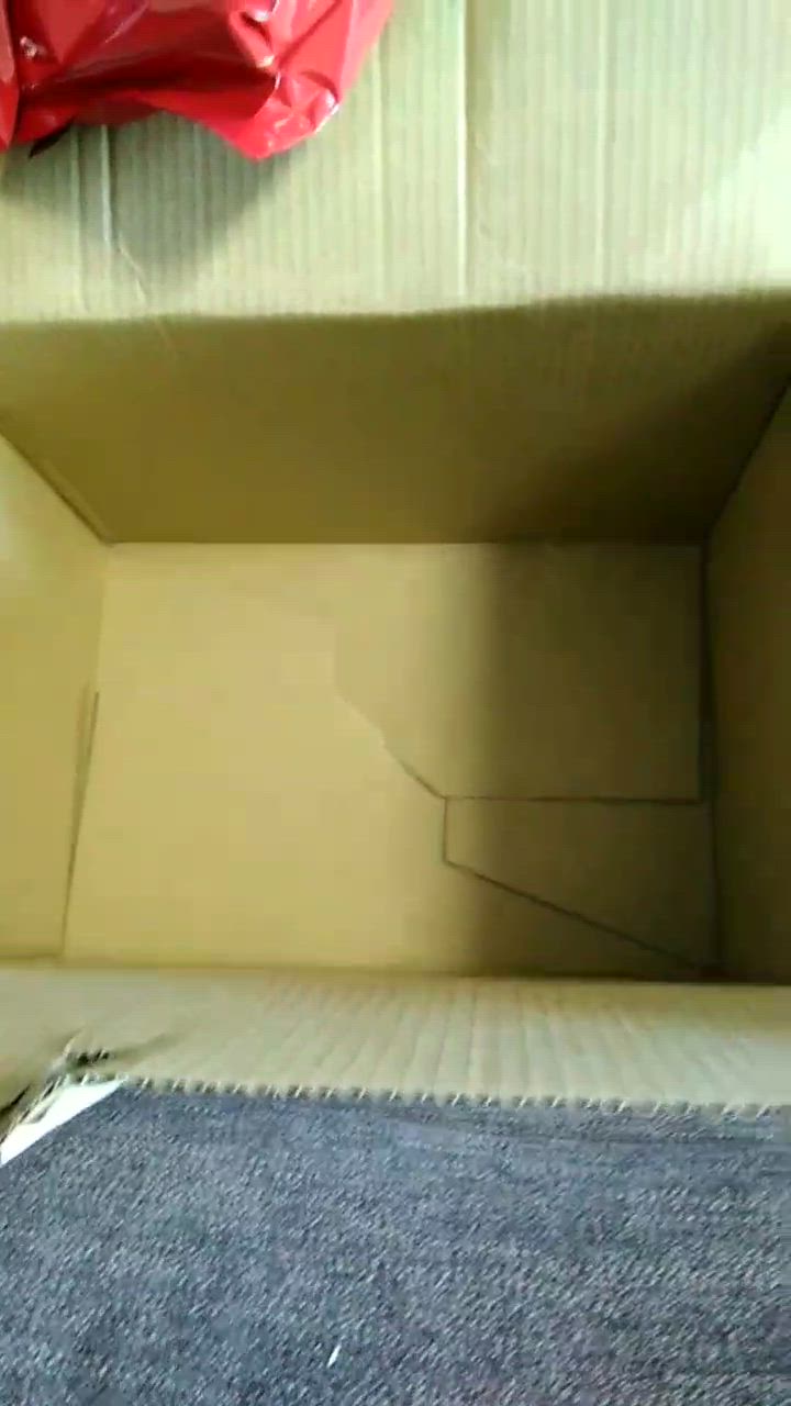 全体のレビュー動画のサムネイル | 17