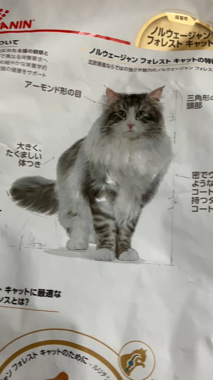 全体のレビュー動画のサムネイル | 4