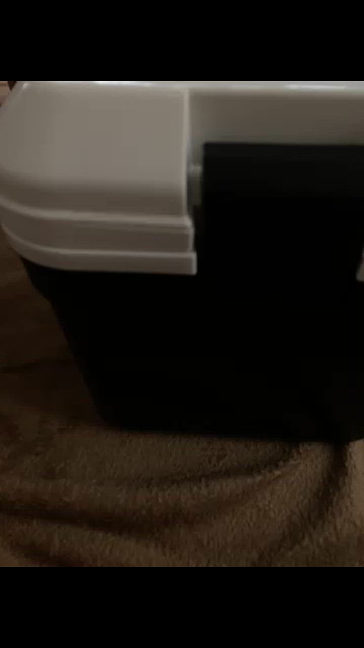 全体のレビュー動画のサムネイル | 2