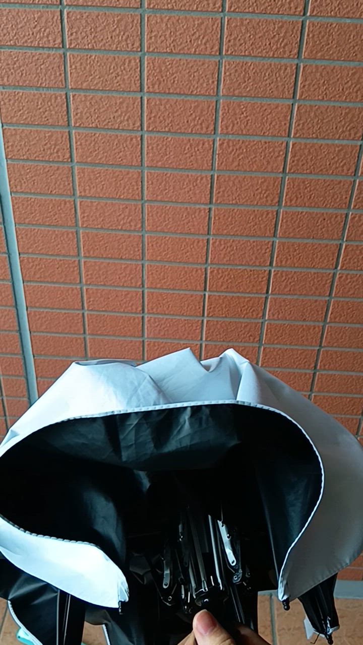 全体のレビュー動画のサムネイル | 1