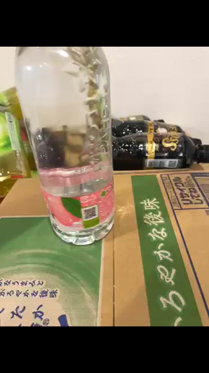 大きなすもも 2L〜3L 3キロ repex_ihmm540p2