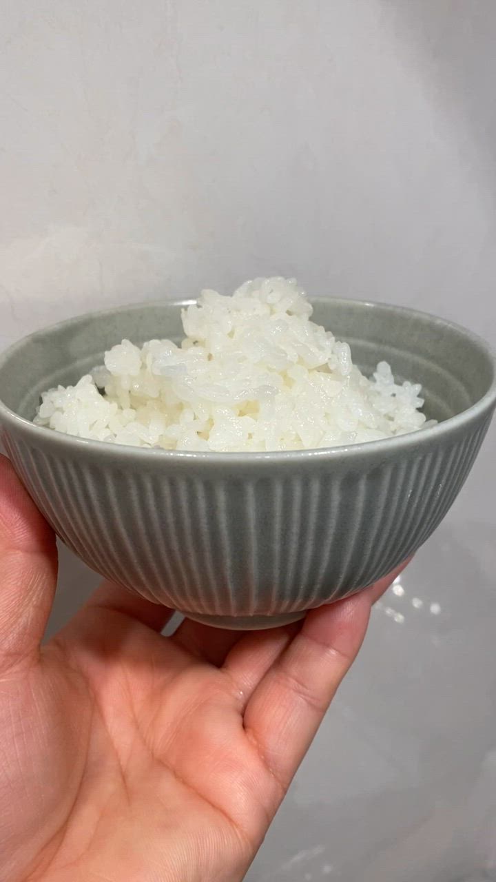 米 10kg 送料無料 「愛媛県産 コシヒカリ 10kg」こしひかり 10