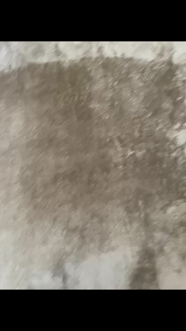 全体のレビュー動画のサムネイル | 19