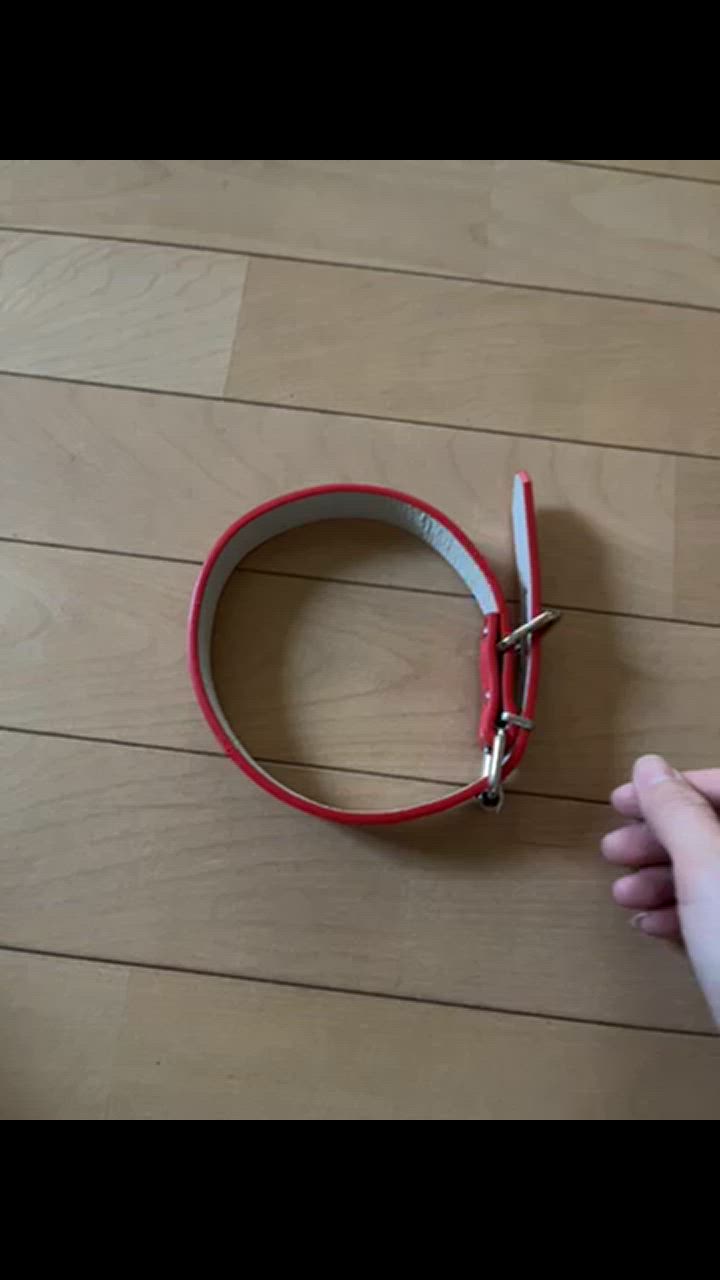 全体のレビュー動画のサムネイル | 3