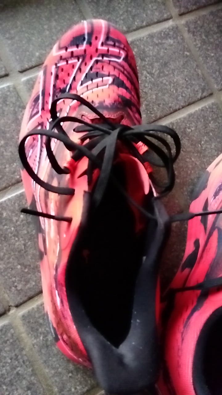 アシックス NOOSA TRI 15 ヌーサトライ ランニング Cut in half: ASICS Noosa Tri 15 Review | RunRepeat