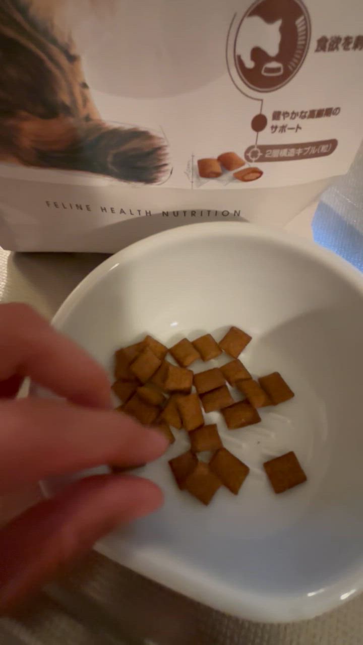 全体のレビュー動画のサムネイル | 0