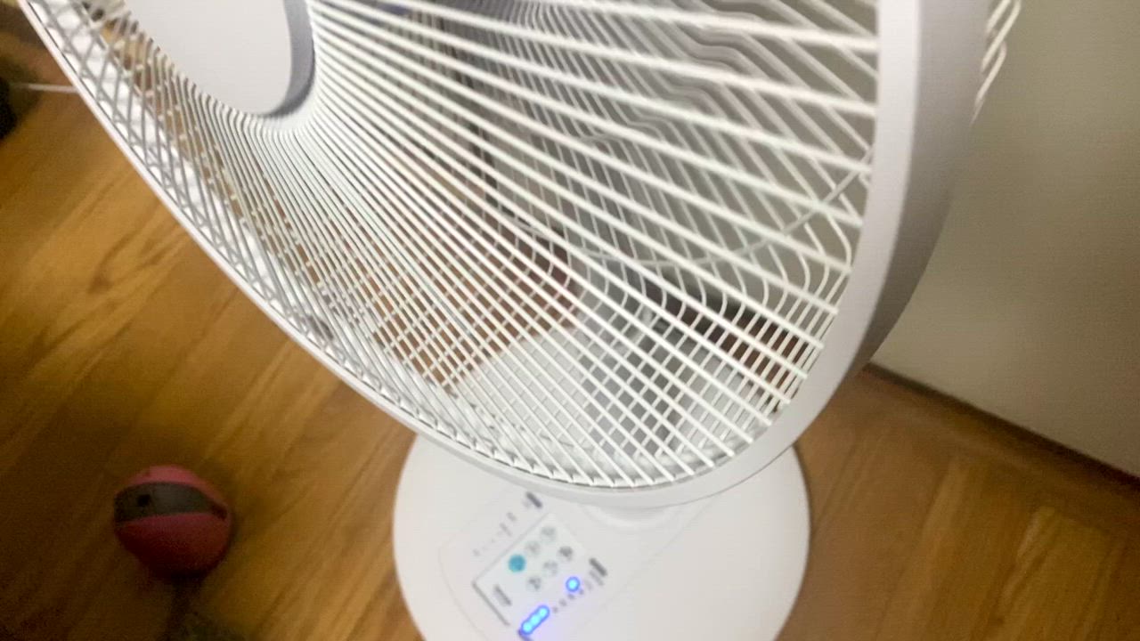 全体のレビュー動画のサムネイル | 3
