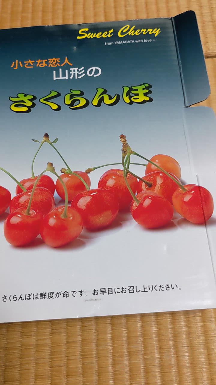 さくらんぼ 2025 佐藤錦 ギフト L玉 秀品 500g×2 山形県産 バラ