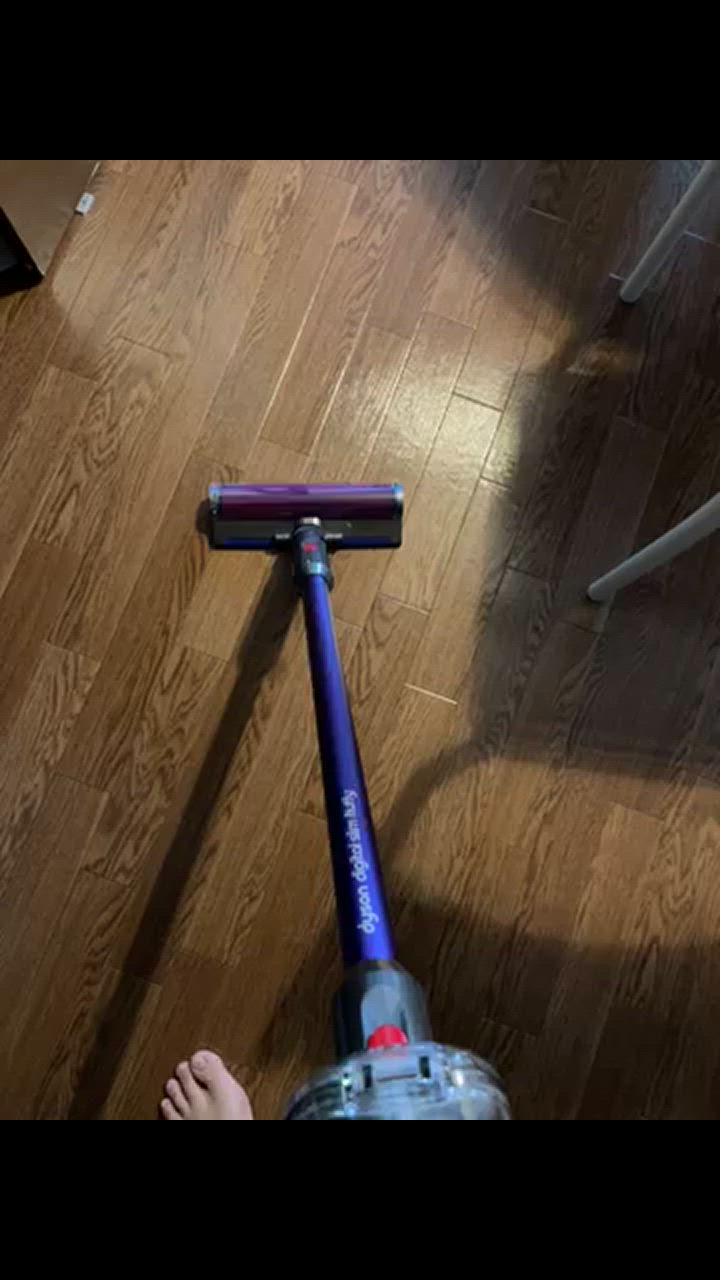 Dyson 掃除機 コードレス掃除機 ダイソン Digital Slim Fluffy