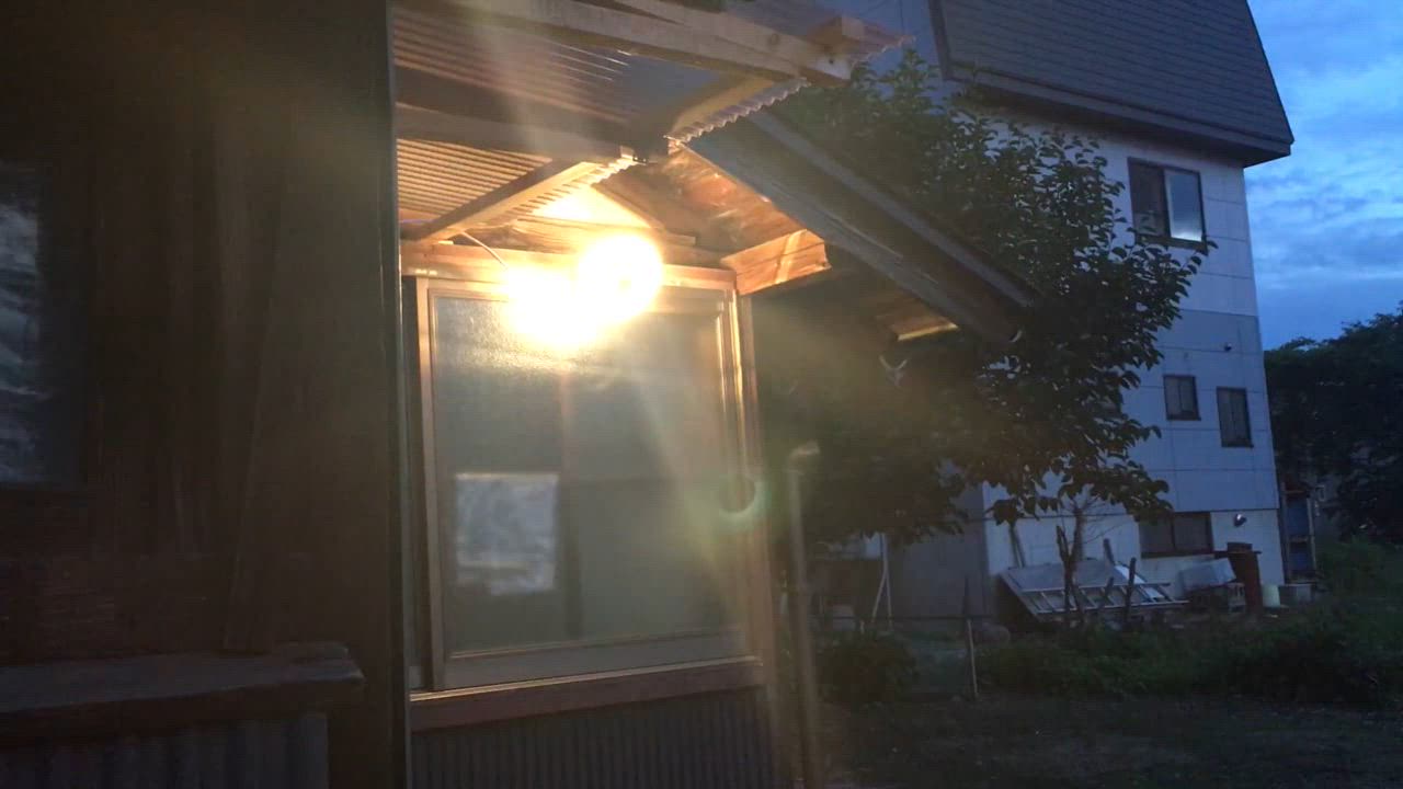DAISHIN センサーライト 屋外 LED コンセント 人感 暖色 明暗 DAISHIN センサーライト 屋外 LED コンセント 人感 暖色 明暗